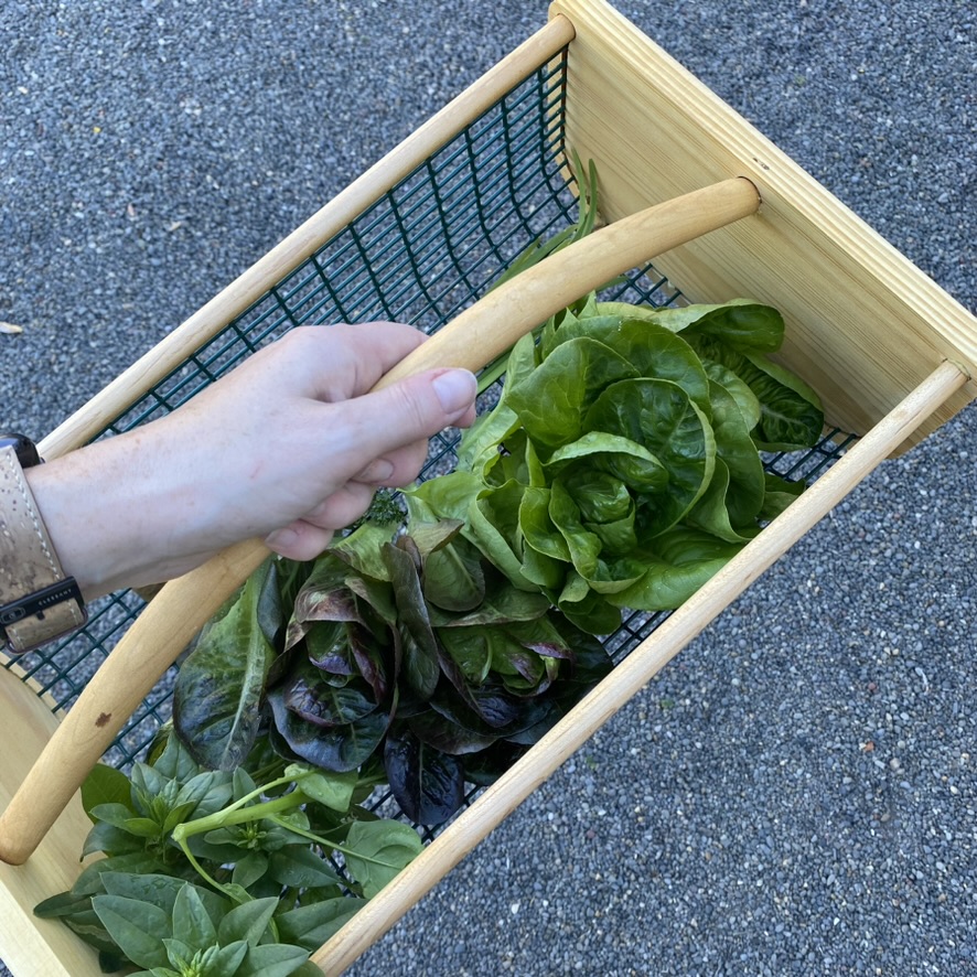 2CCAB982-0396-408D-9F12-CF97E447FFD2_1_105_c