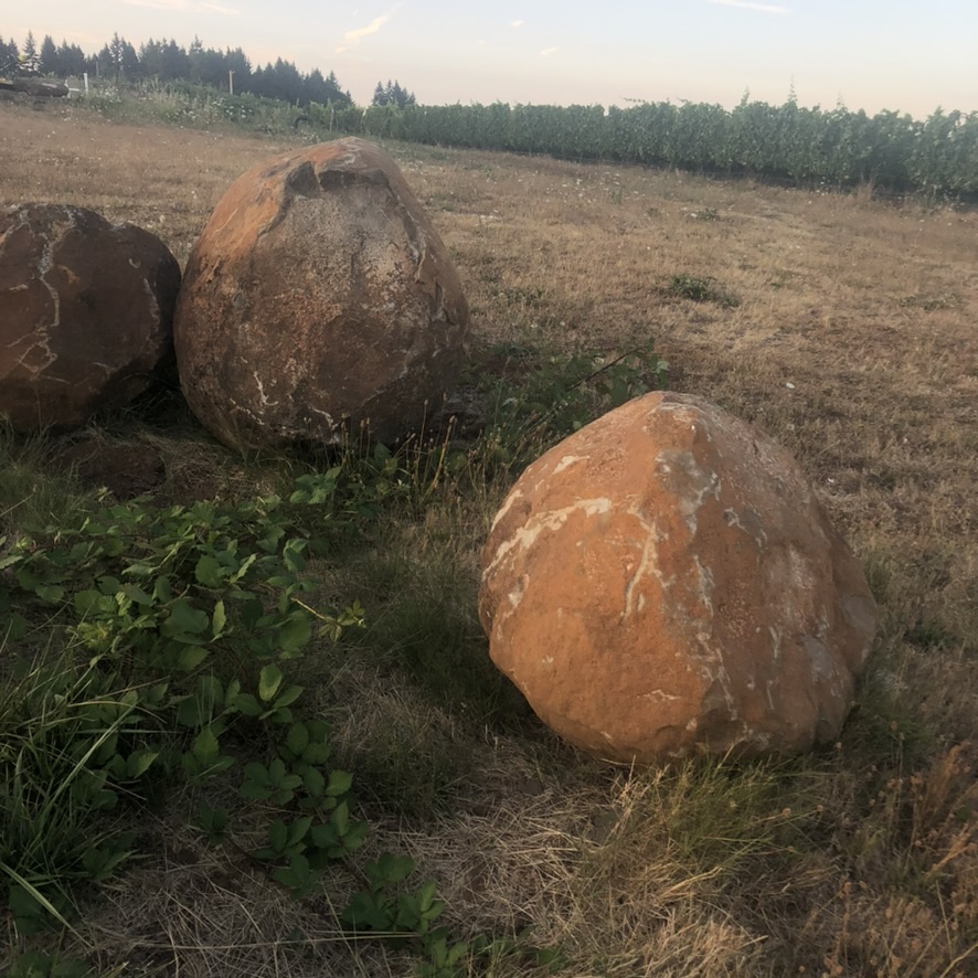 53766FD6-3E31-49B5-B89A-697885125D42_1_105_c