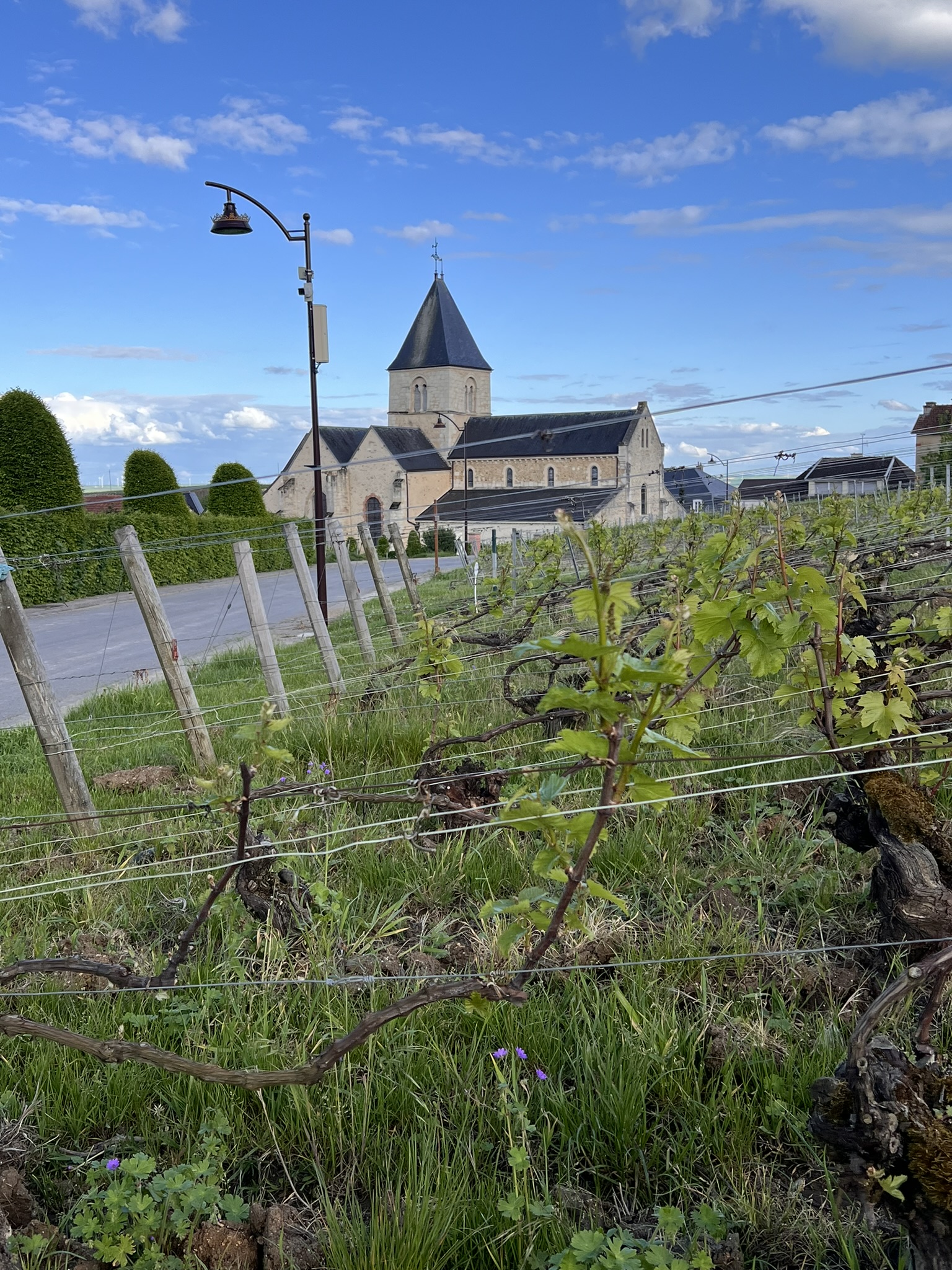 Chalk soil in Le Mesnil-sur-Oger