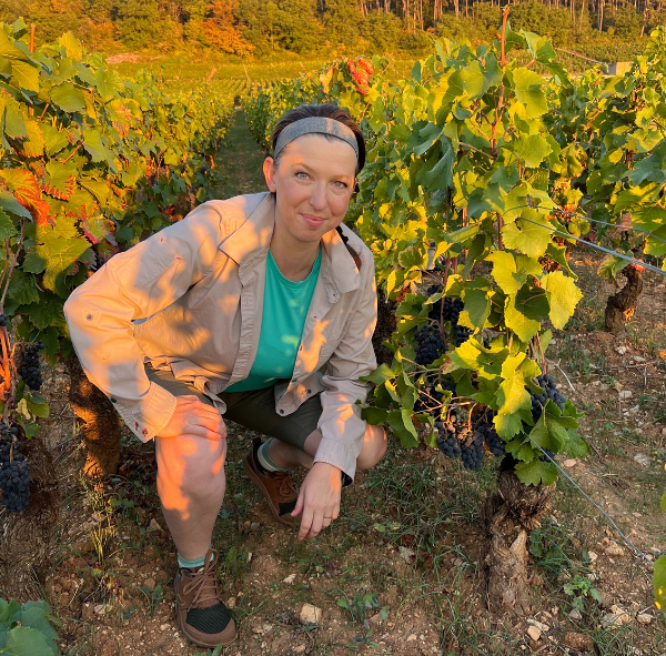 Kathryn Hermann picking in Chambertin